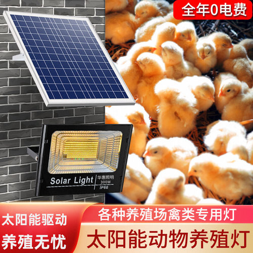 led太阳能暖光养殖投光灯