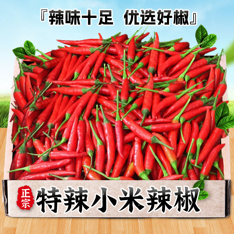 正宗特辣小米辣椒云南新鲜红辣椒辣味十足优选好椒