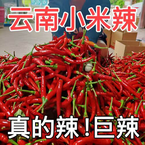 云南小米辣新鲜特辣红辣椒