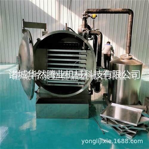 真空低温冷冻干燥机无花果鲜果冻干设备全自动真空脱水机器