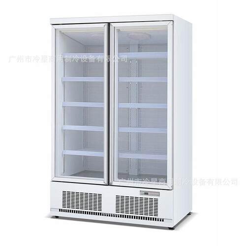 双门下机组饮料展示柜啤酒冷藏冰箱商用立式防雾玻璃门110V冰柜