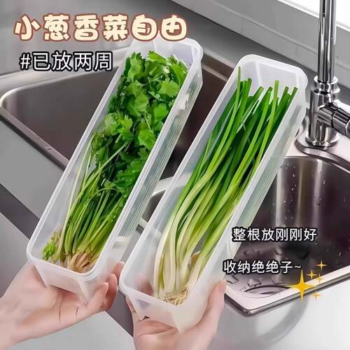 保鲜盒食品级大葱香菜芫荽整根姜蒜挂面条鸡蛋收纳整理盒冰箱专用