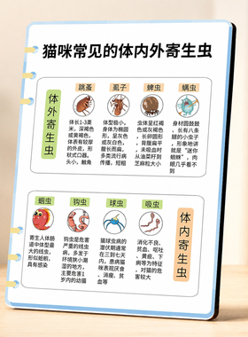 猫咪常见体内外寄生虫科普装饰相框宠物店养猫家庭装饰摆画