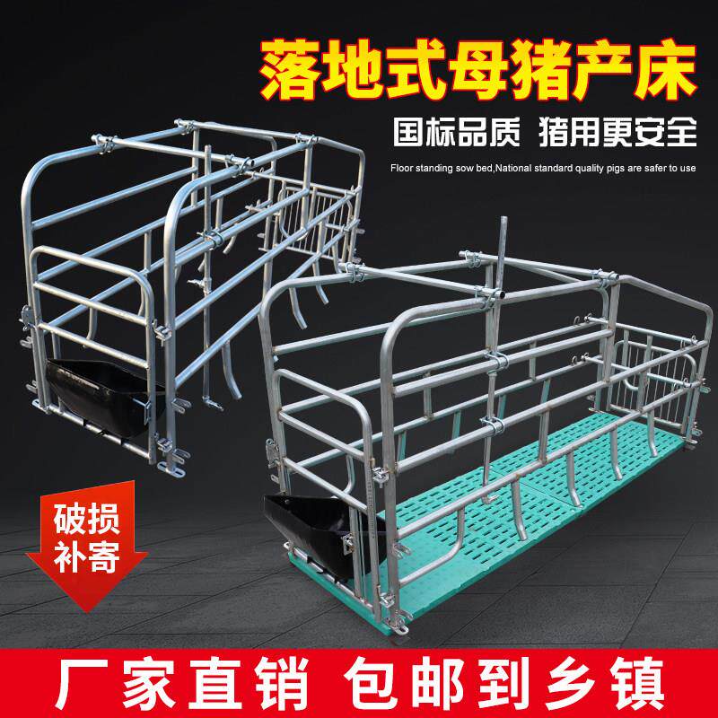 落地式母猪产床双体产保两用单体简易保育一体产房养殖猪场分娩床