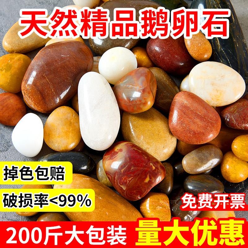 200斤鹅卵石铺地五彩石头户外庭院雨花石鱼缸造景白色黑色石