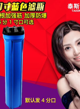 20寸滤瓶前置过滤器家用自o来水过滤器 3分口净水器滤筒 带放气口