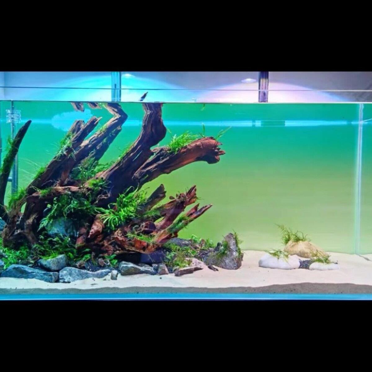 新款高亮rgbw鱼缸背景灯板ADA水草缸背景发光板上下渐变色可定制