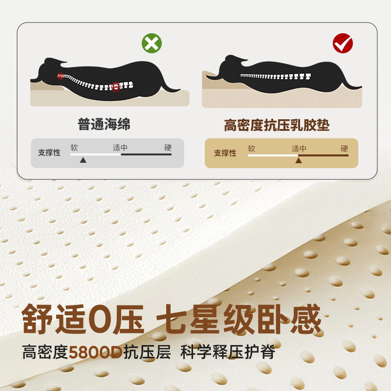乳胶狗垫子四季通用中型