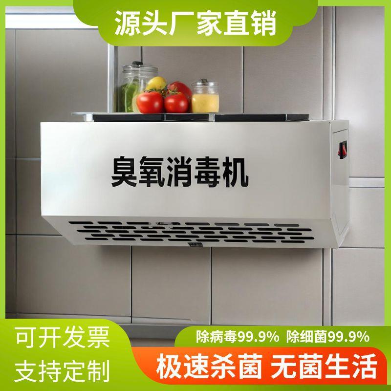 壁挂式智能臭氧发生器空气净化器消毒机垃圾房除臭食品厂杀菌设备