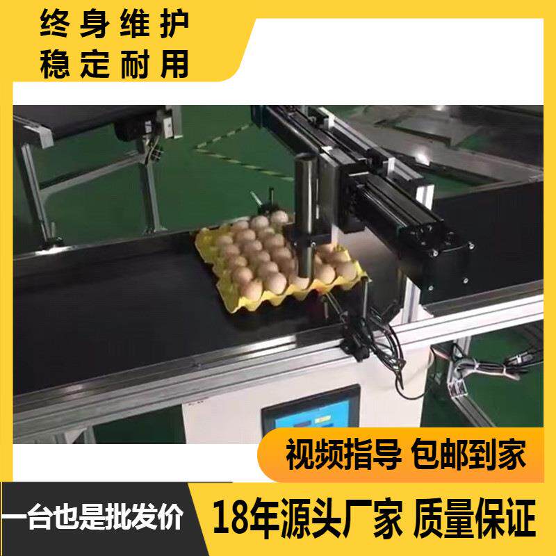 喷码机全自动流水线食品朔料袋纸质 打码生产日期批号 输送机
