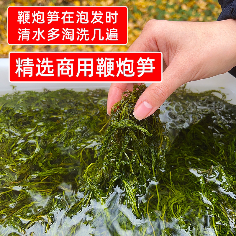 精选商用鞭炮笋餐饮拿货批发10斤海草海藻火锅麻辣烫冒菜凉菜食材