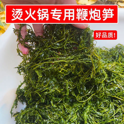 烫火锅专用鞭炮笋脆嫩海草10斤批发马尾藻龙须长寿菜凉拌商用食材