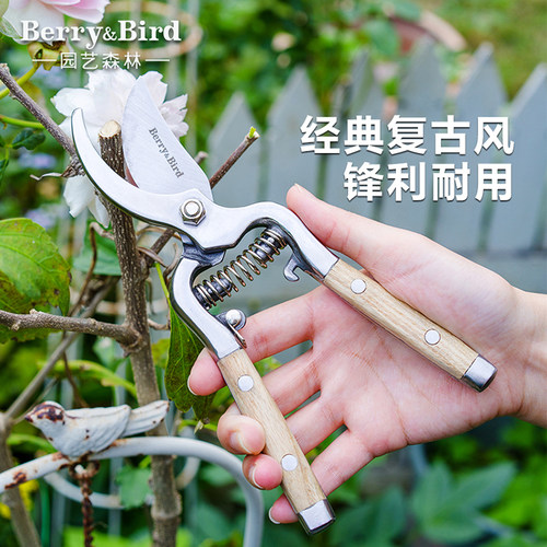 Berry&Bird园艺森林粗枝剪盆栽