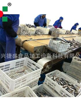 大产量洗鱼机海鲜冰冻鱼类贝类鱼类清洗设备海产品加工流水线