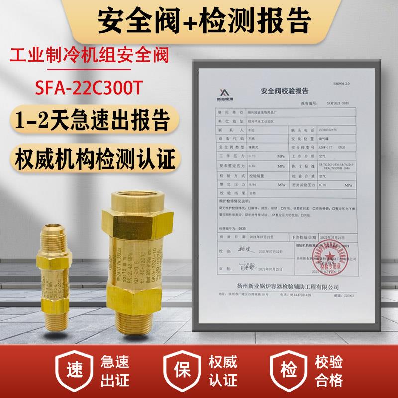 冷冻机组安全阀 SFA-22C300T14工业中央空调泄压阀冷凝蒸发器检测