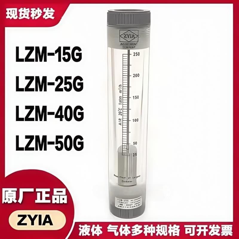 ZYIA流量计 LZM-15G LZM-20G LZM-25G LZM-40G LZM-50G LZM-40GB