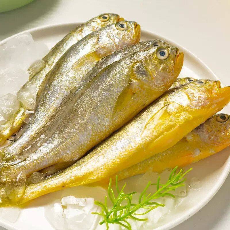 【C】黄花鱼海捕小黄鱼生鲜海鲜水产深海鱼