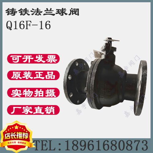 Q16F-16铸铁法兰球阀水用直通手动球阀DN40 50 65 80 100 125 150