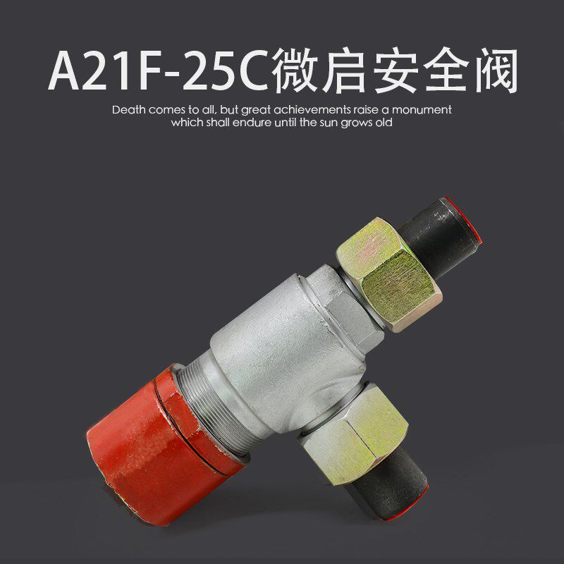 焦冷氨阀A21F-25C微启安全阀氨氟制冷阀门外螺纹连接弹簧式安全阀