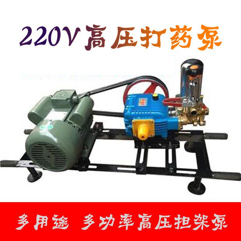 220V家用电机喷药机药泵三缸柱塞泵农业园林高压单架喷雾器