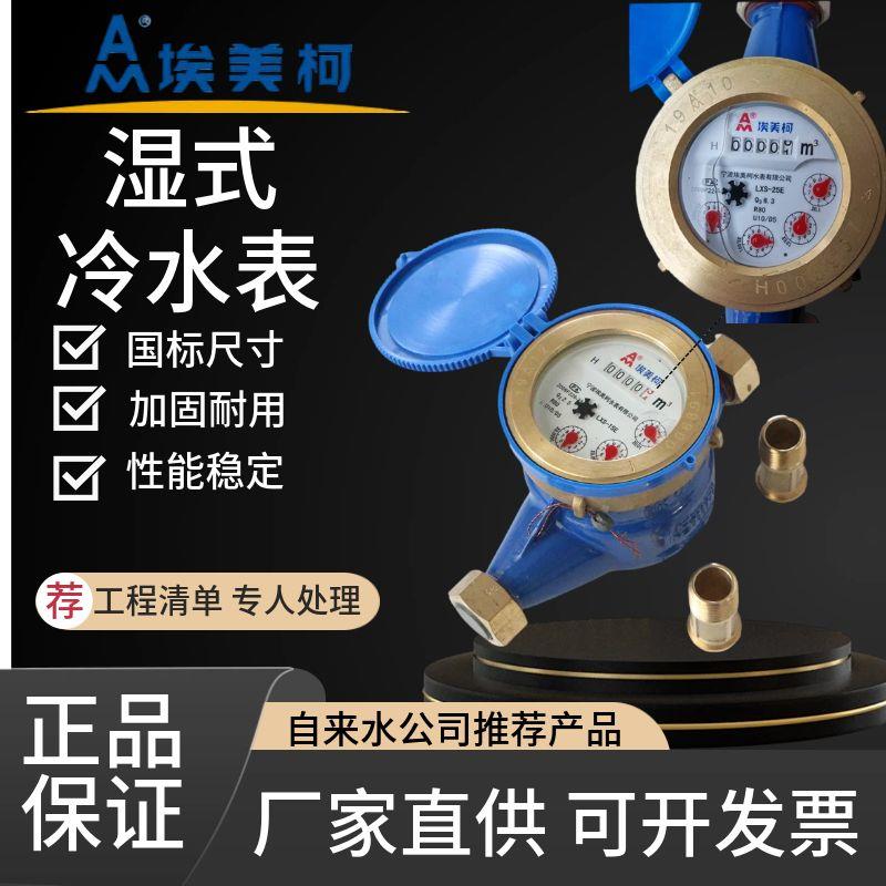埃美柯LXS-E铁壳099旋翼湿式冷水表DN15 20 25 32 40 50 4分6分图片
