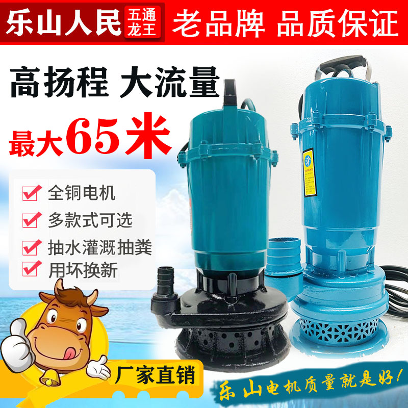 潜水泵220v高扬程家用小型排污水泵抽粪泥浆抽水机农用灌溉抽水泵