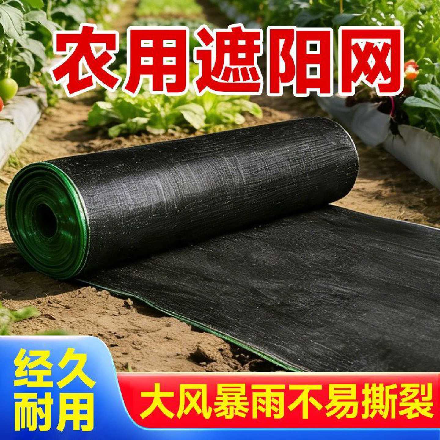 黑色遮阳网防晒加密加厚隔热防防老化大棚农用遮阴户外抗老化批发