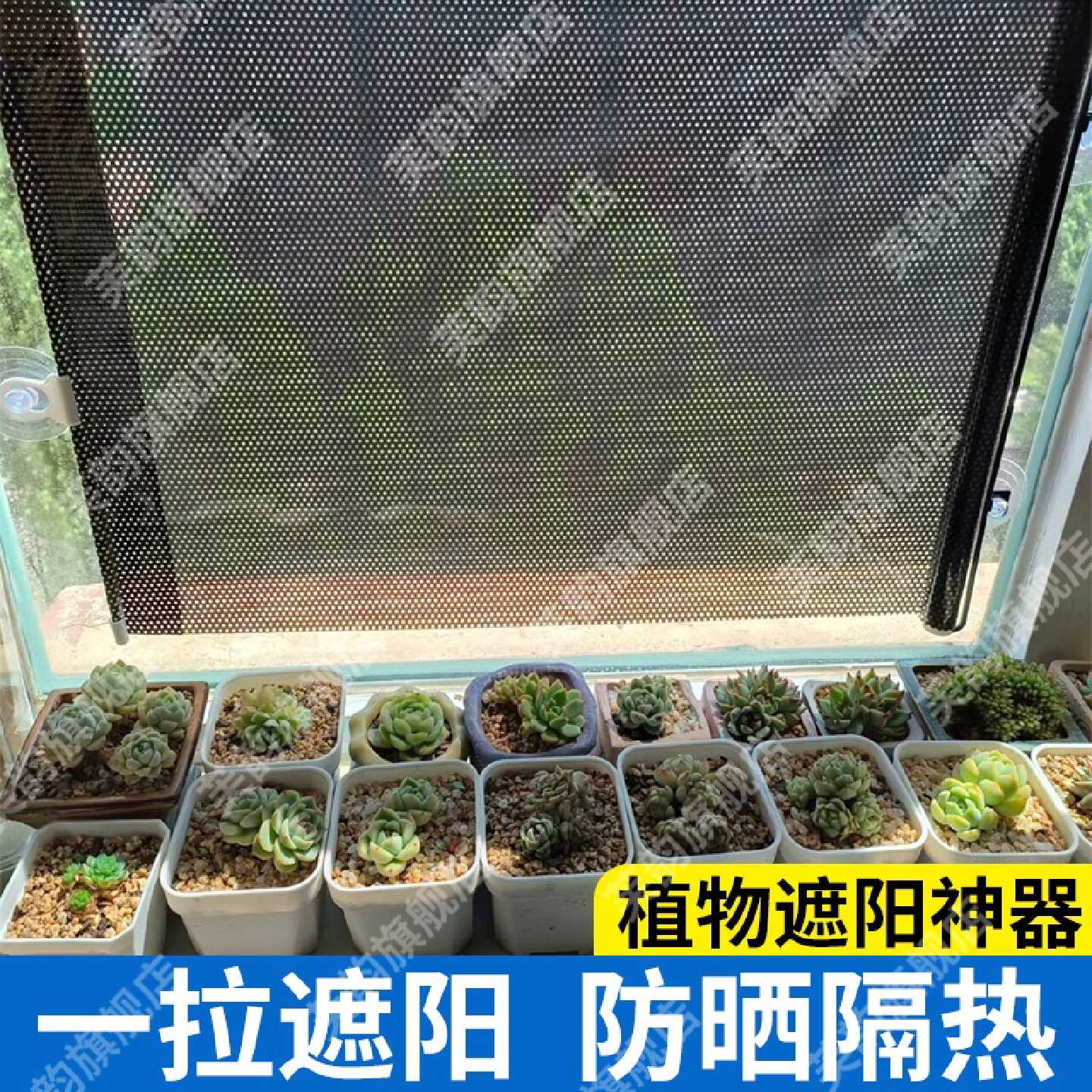 植物遮阳神器防晒隔热帘罩阳台窗户养花卉专用遮阳支架多肉遮阳网