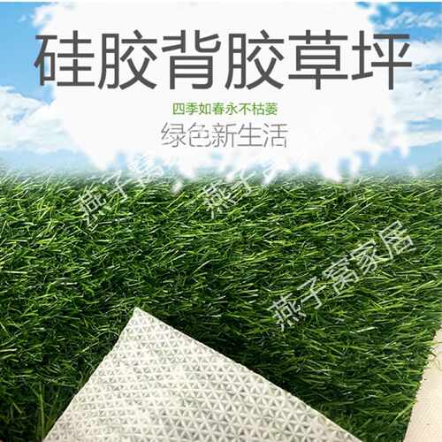 家用防潮防水硅胶仿草果蔬车厢垫超市雨棚降噪草坪地毯室内外阳台