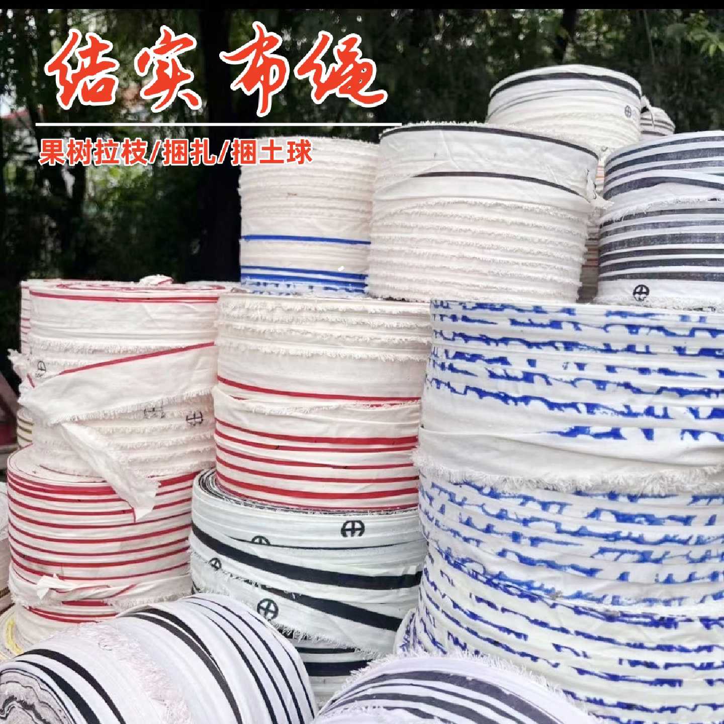 结实布条捆绑带拉枝绳捆土球布条捆绑绳打包绳包装绳长条绑树绳子