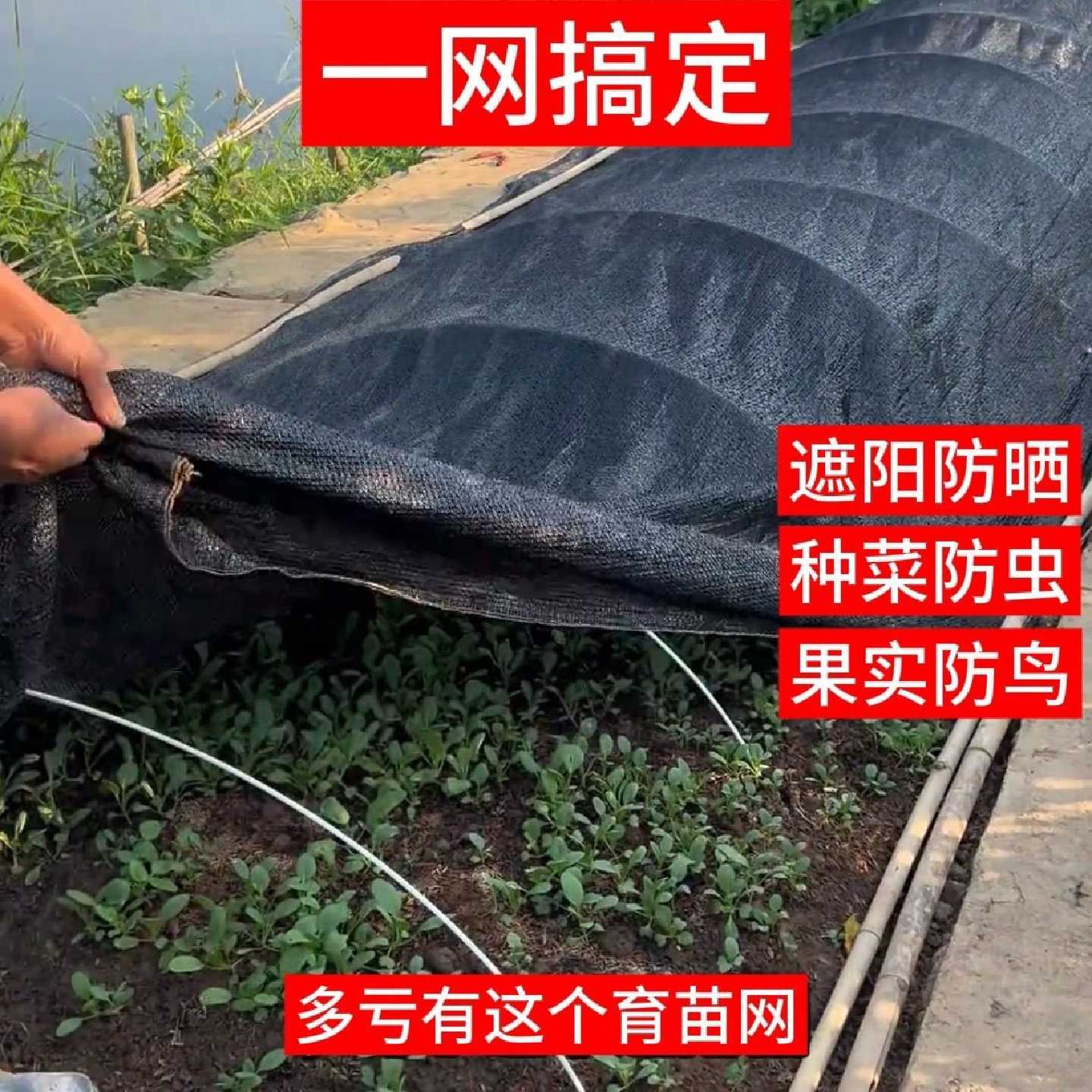 遮阳网防晒网隔热网黑色大棚楼顶太阳网防晒网布批发小拱棚专用
