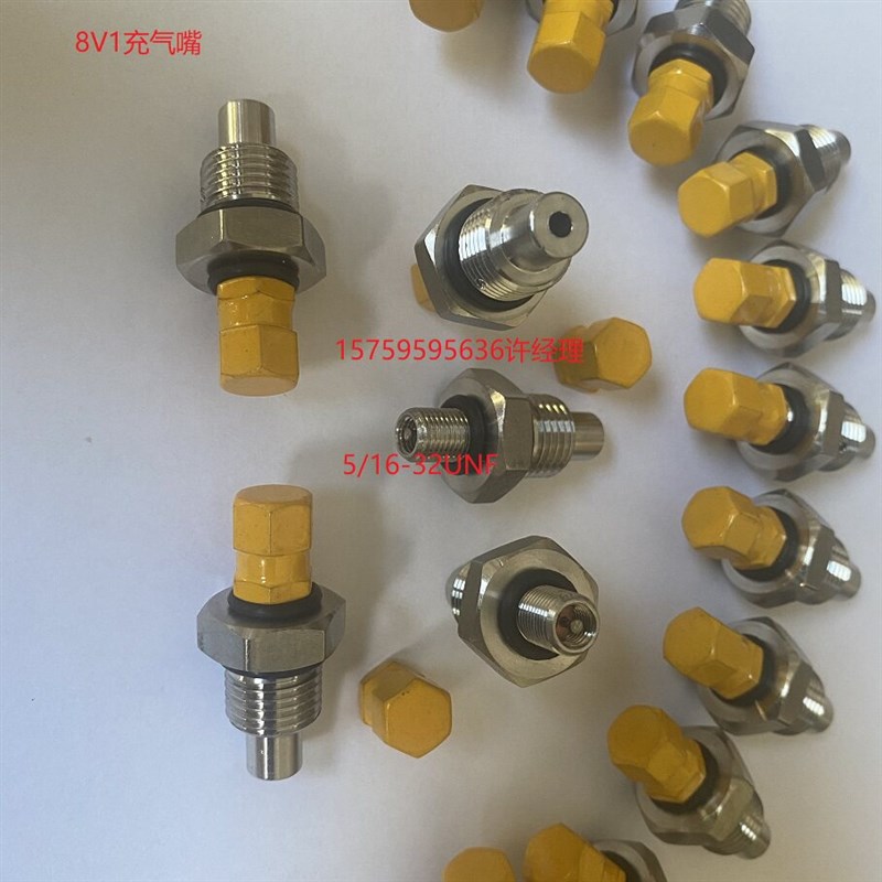 8V1欧标蓄能器充气嘴 QXF4-2进口蓄能器充气阀 国标蓄能器充气嘴