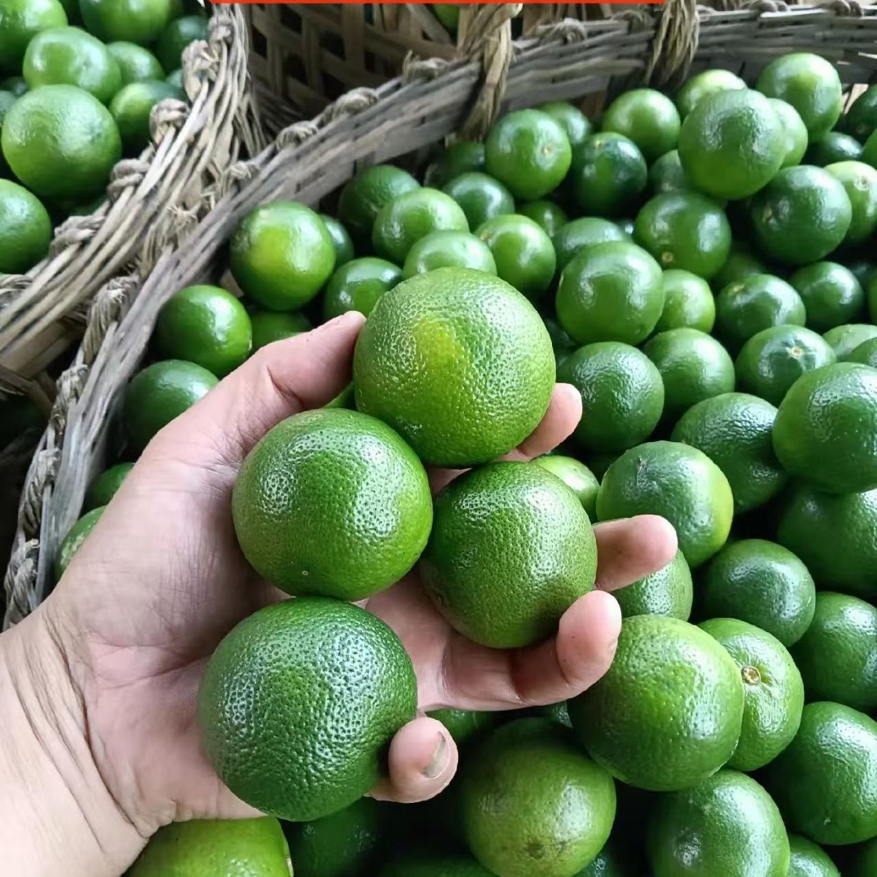 云南德宏新鲜皮薄汁多青柠檬
