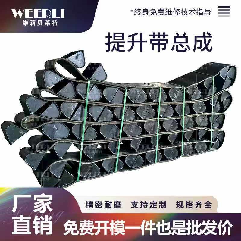 抛丸机配件提升带总成输送带平胶带传送带代料斗履带式吊钩式配件图片