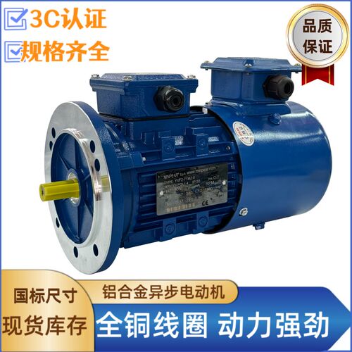 YVF2/YVP变频调速马达三相异步马达立式马达全铜铝壳交流380V