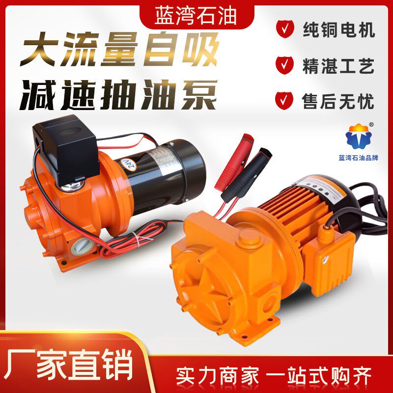 减速抽油泵大功率电动抽油机12V/24V/220V大流量纯铜电机静音泵