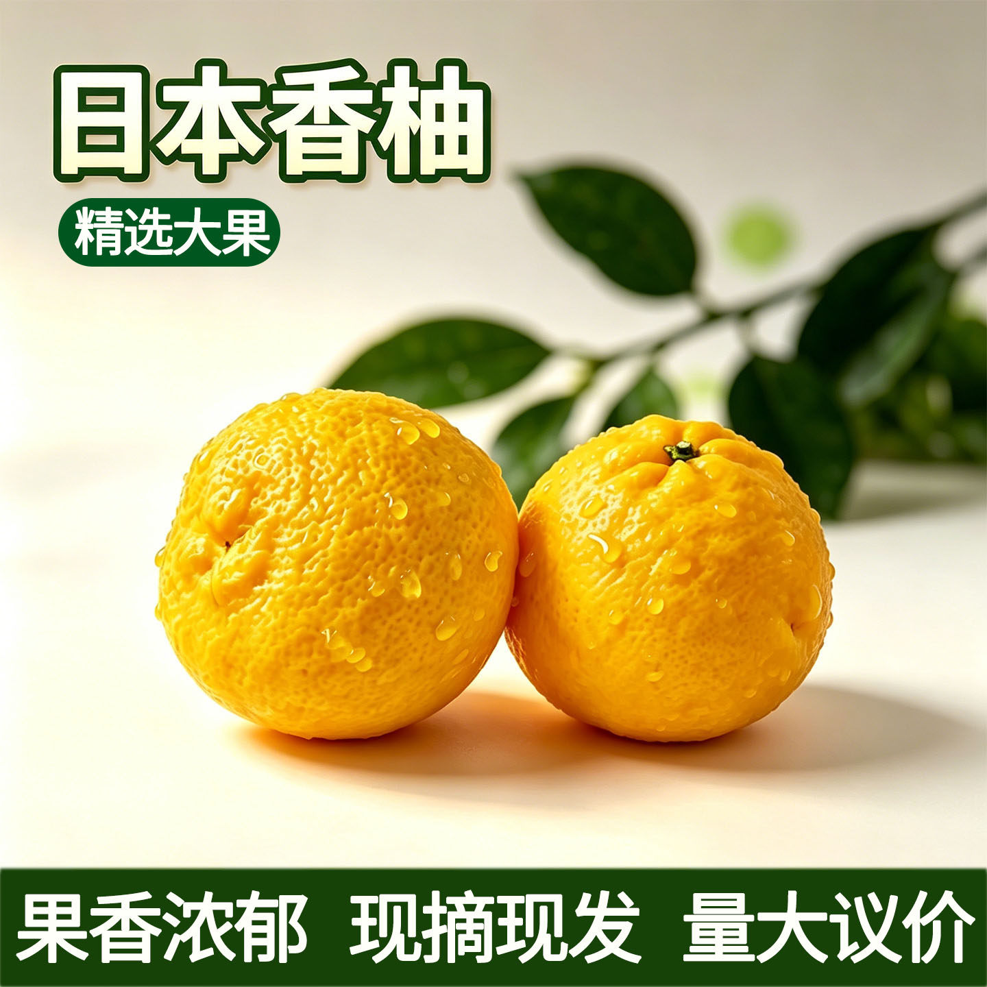 日本香柚yuzu湖南岳阳金盆柚新鲜现摘果园直发黄果日料理香柚子