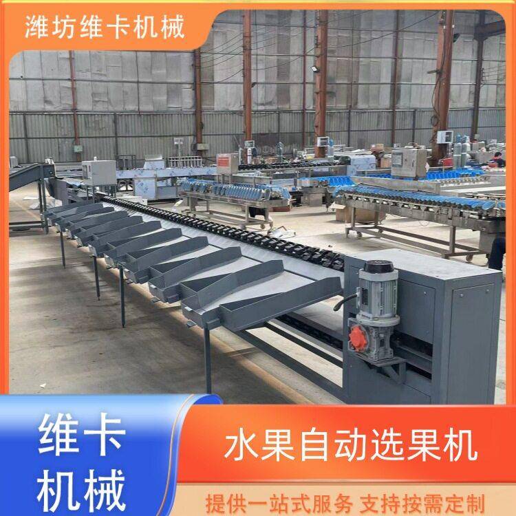 青枣选果机厂果家牛油重量分拣秤冰橘糖分选机价格