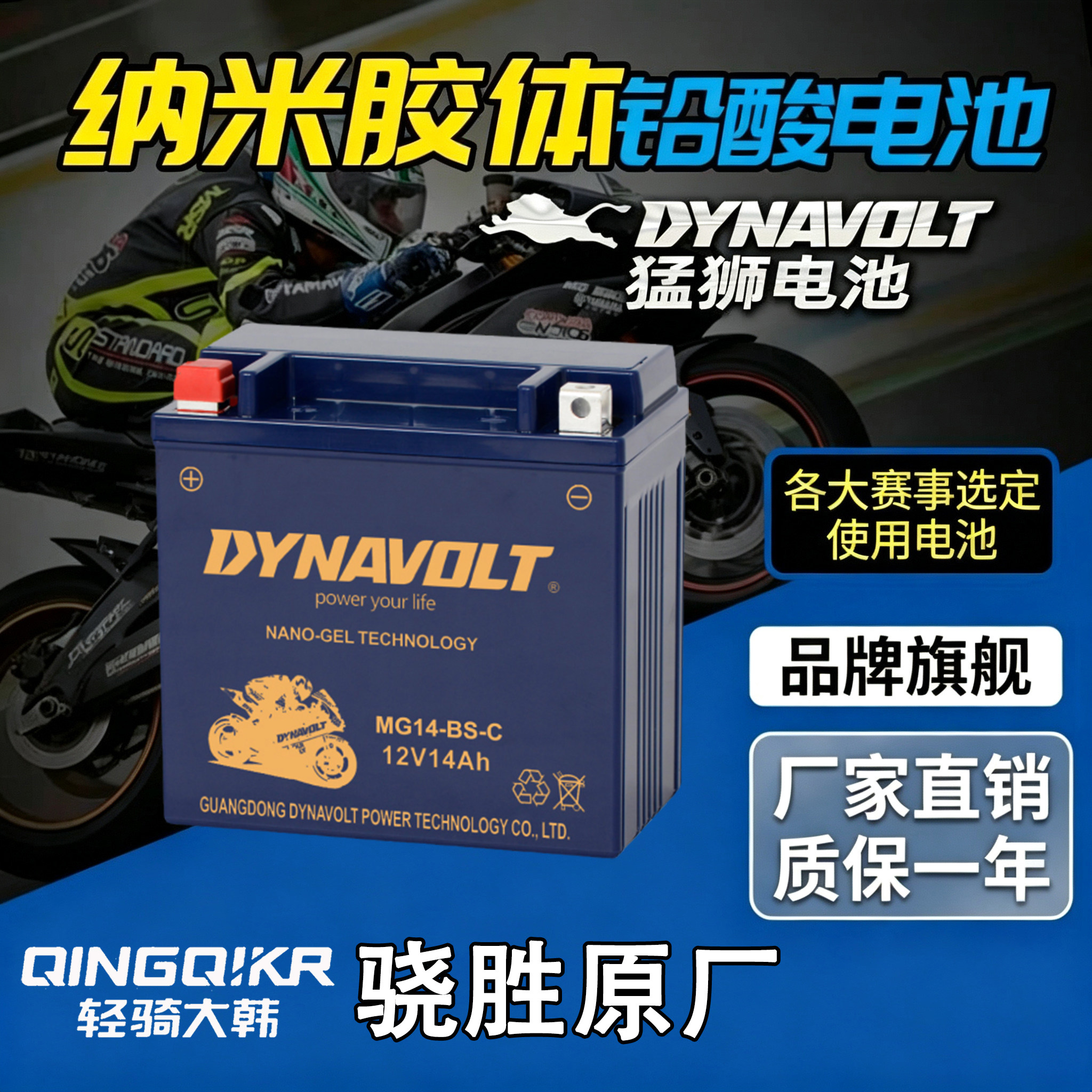 轻骑大韩晓星HYOSUNGGV650电瓶图片