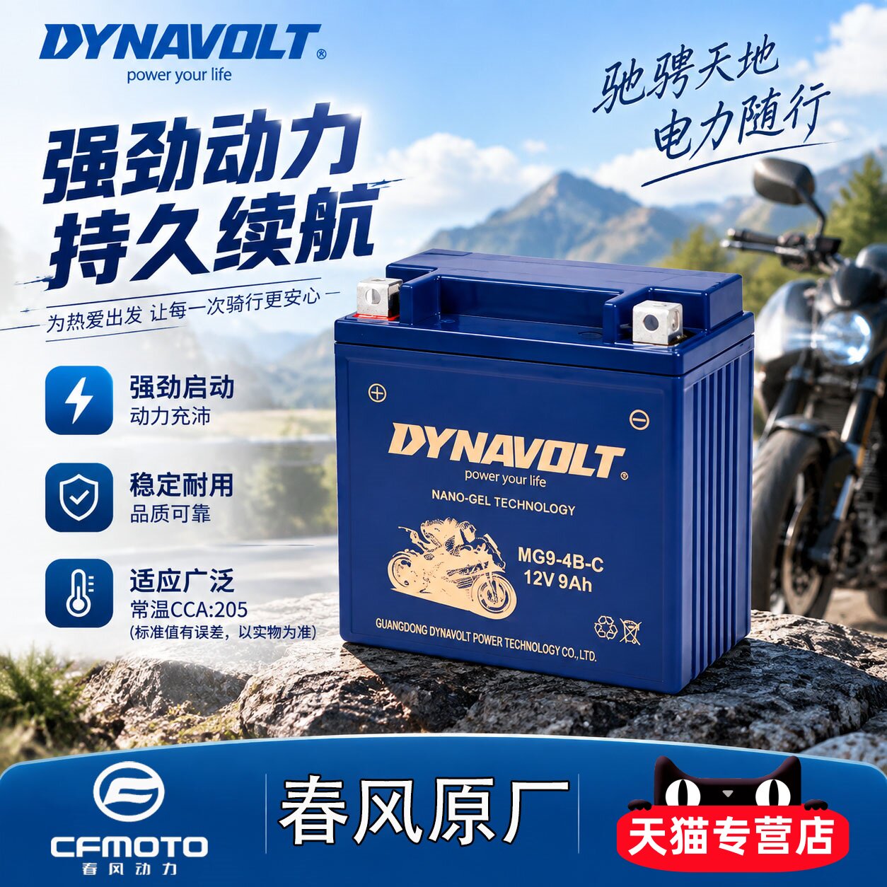 春风ST150狒狒SR250NK400电瓶图片