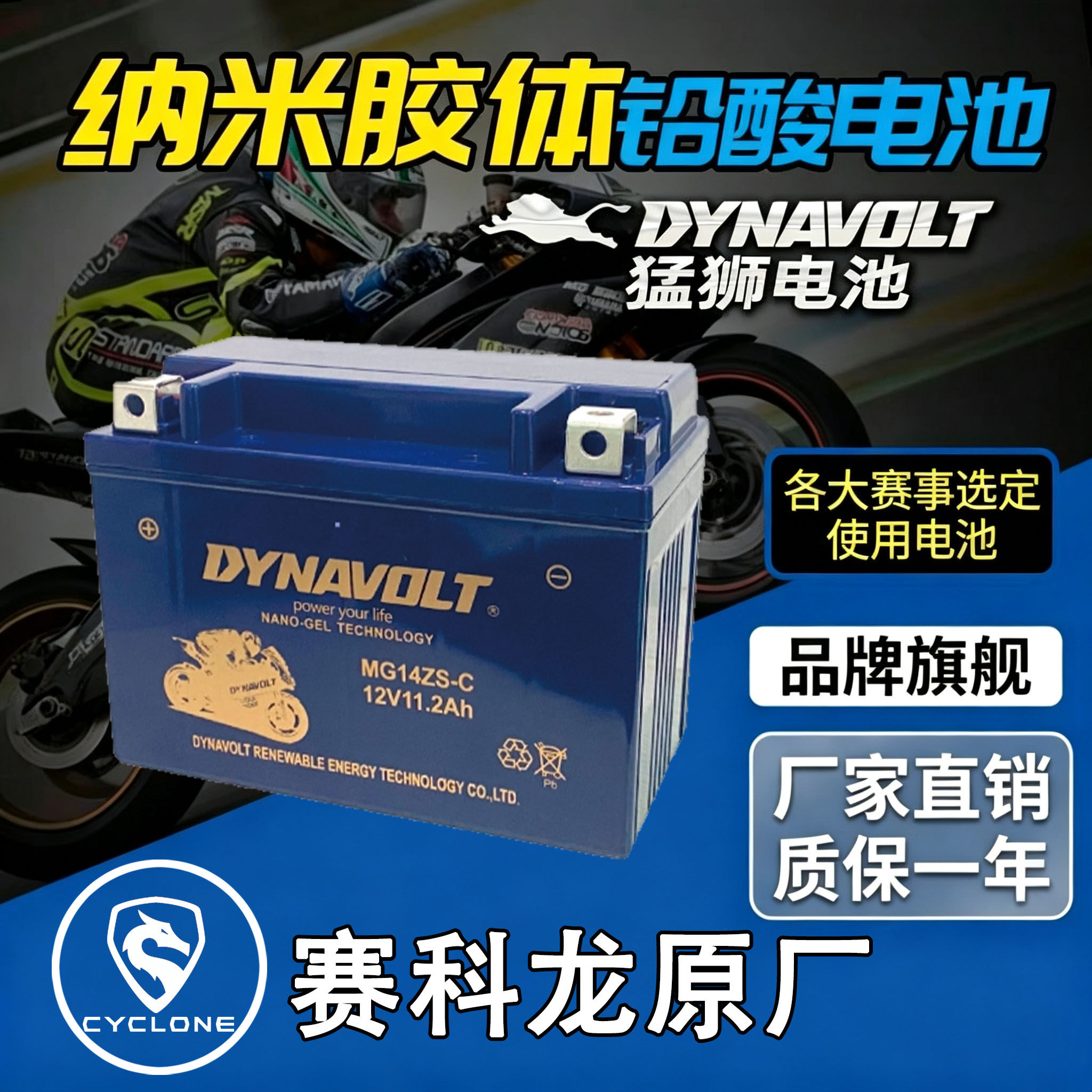 赛科龙RZ3SRX3SZS250GY-3电瓶