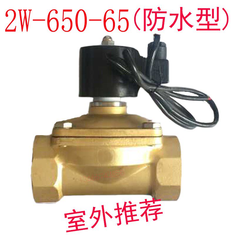 2.5寸电磁阀水阀常闭 2W-650-65完全防水 塑封全铜DN65