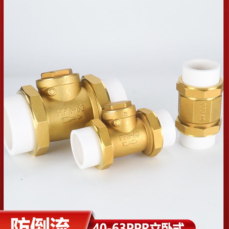 止回阀ppr铜卧立式双活接防回流自来水管表 dn40/50/63逆止单向阀