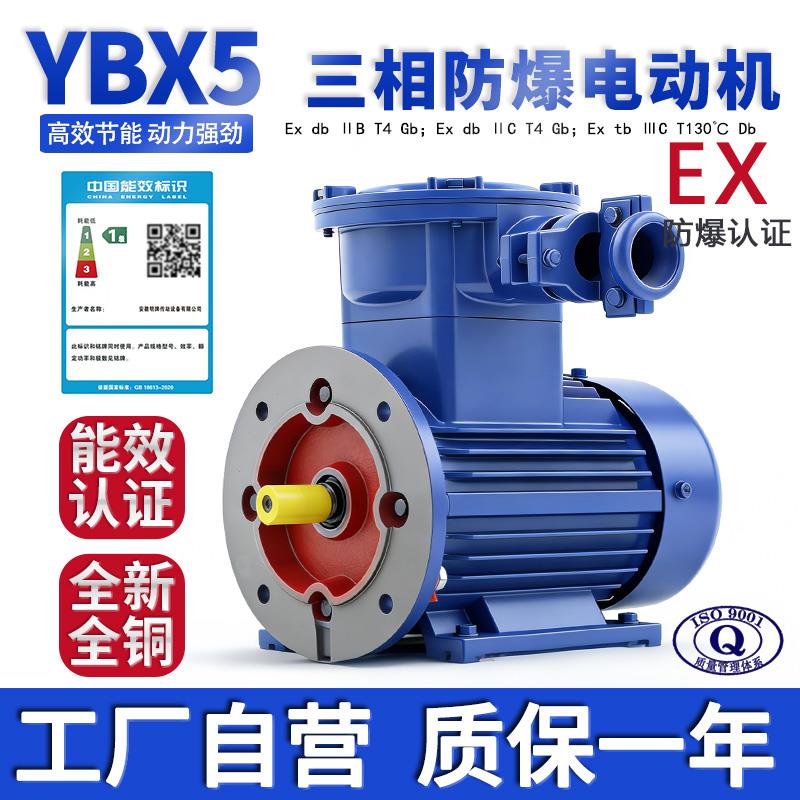 YBX5气尘双防爆电机BT4/CT4高效率隔爆型三相异步马达一级能效