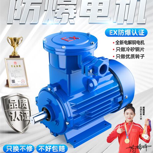 隔爆型三相异步电动机11/15/22/30/37/45/55/75/90kw粉尘防爆电机