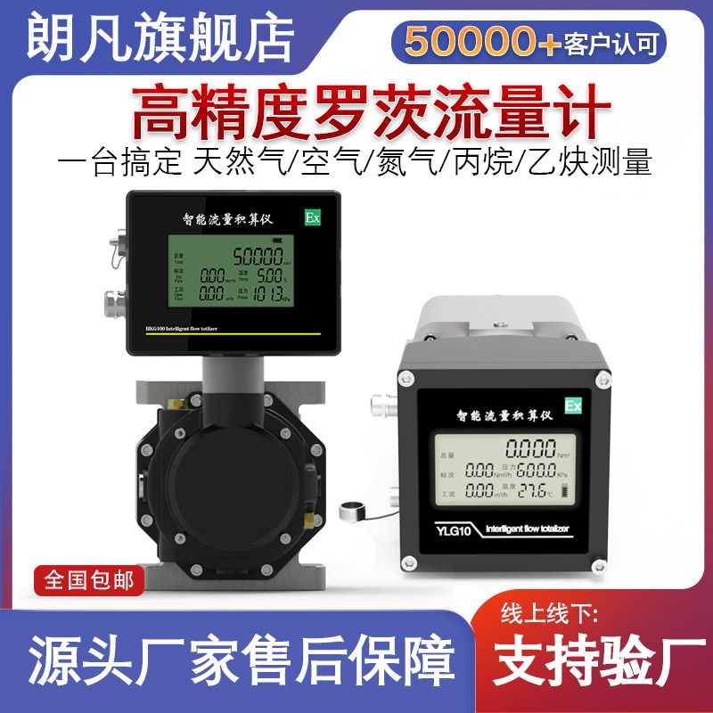 气体腰轮罗茨流量计天然燃煤瓦斯液化贸易计量YLG智能气体流量计