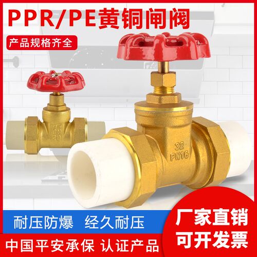 4分热熔全铜20闸阀25双活接1寸PPR自来水管PE6分阀门开关ppr管32