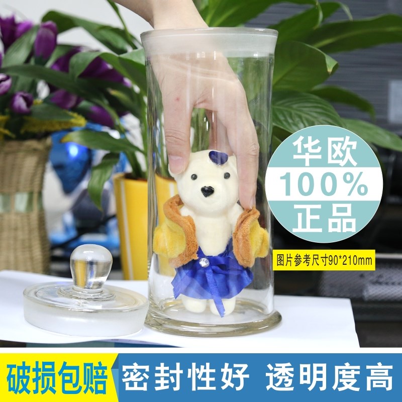 玻璃标本瓶180*240MM透明玻璃样本展示瓶磨砂加厚干货密封罐华欧