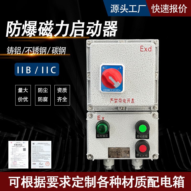 防爆磁力启动器220V380V水泵风机启停按钮箱三相电机控制箱配电箱