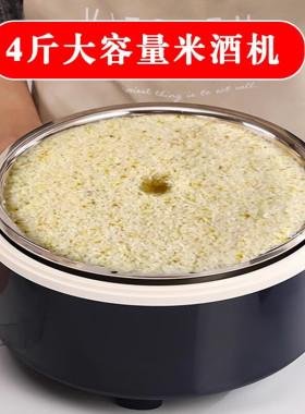 大容量酒酿米酒发酵箱加热发酵